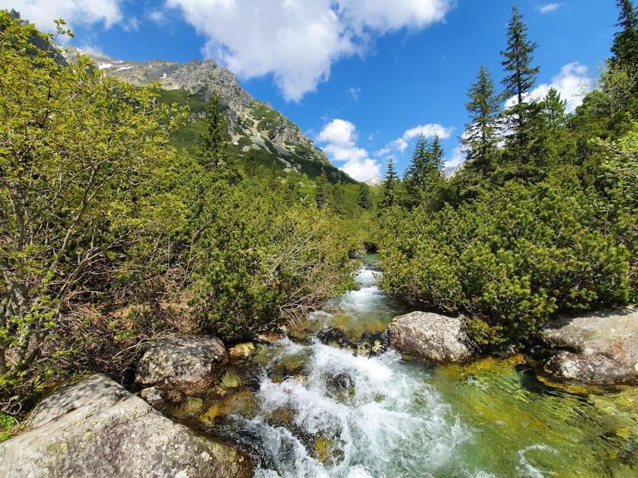 Apartman Ve Vysokych Tatrach Štrbské Pleso المظهر الخارجي الصورة