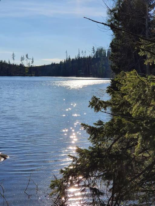 Apartman Ve Vysokych Tatrach Štrbské Pleso المظهر الخارجي الصورة